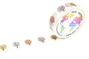Tree Seasonal Changes Washi Tape Australia