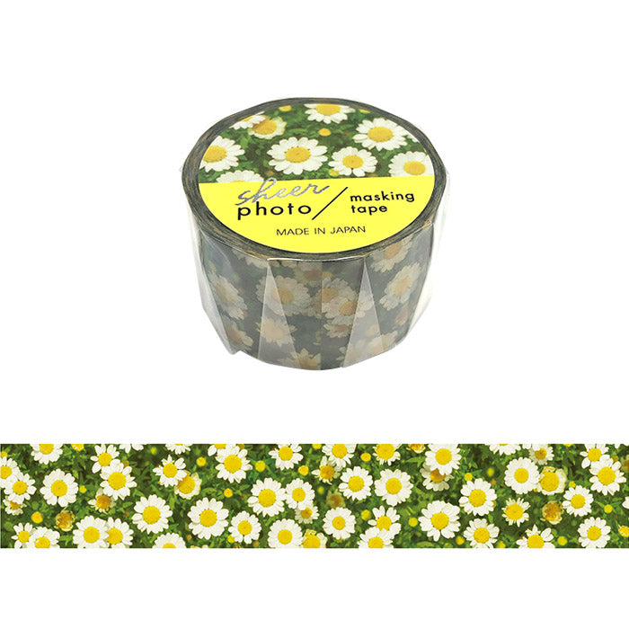 Daisies - Sheer Photo Washi Tape (wide 25mm)