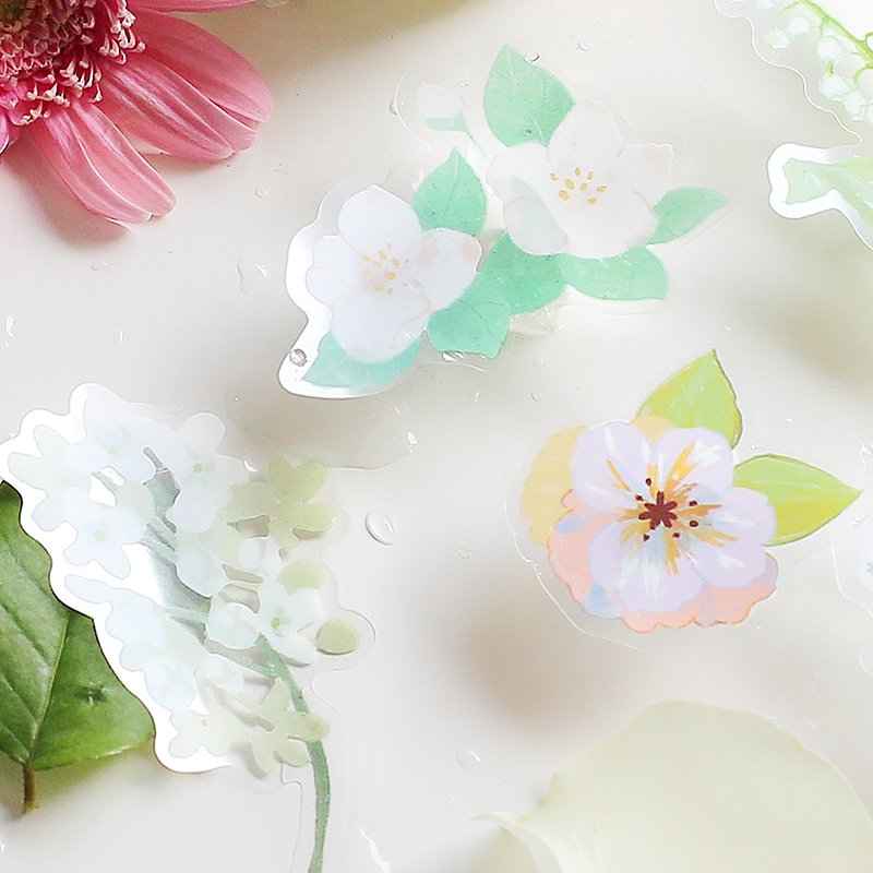 White (Morning Courtyard Series) - Transparent Flake Stickers